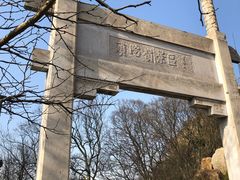 -紫金山山顶公园