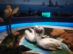 -大连市规划展示中心