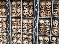 -比如骷髅墙景区