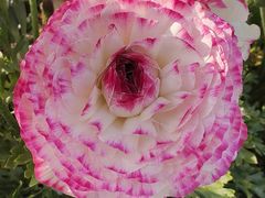 -同济大学(嘉定校区)