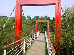 -天鹅湖体育公园
