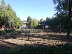 -洛阳白马寺