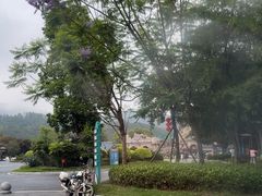 -森波拉奇妙世界