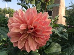 -沙漠世界地质公园