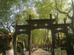 -杭州黄龙洞