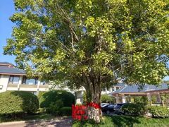 -福建鲤鱼洲酒店