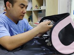 -康成宠物医院24H·CT·核磁共振