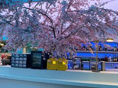 -花开餐厅(环湖中路店)