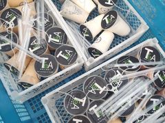 -Dr.t茶博士(广技师店)