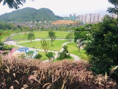 -白石龙音乐公园