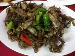 椒盐多春鱼-蛇口康乐快餐鱼仔档(翠苑小区店)