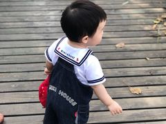 -长白岛森林公园