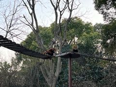 -上海野生动物园
