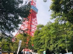 -六本木新城展望台(东京城市景观)