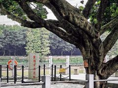 -黄埔古港