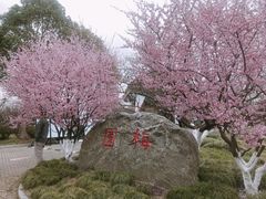 -上海海湾国家森林公园