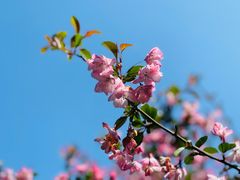 -白塘生态植物园