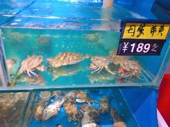 蒸汽梭子蟹-蟹谢蒸鲜自助餐厅
