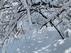 -终南山国家森林公园