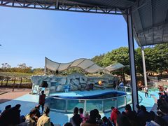 -泉州海丝野生动物世界