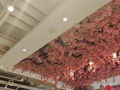 -小桃红·东北菜·春饼烤鸭(南阳湖街店)