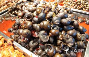 Spicy Large Field Snail