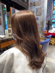 -T.1 hair salon烫染接发