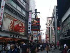 -蟹道乐(道顿堀本店)