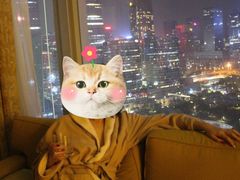 -深圳星河丽思卡尔顿酒店