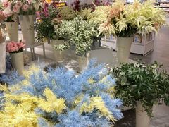 -KKV(深圳宏发大仟里店)