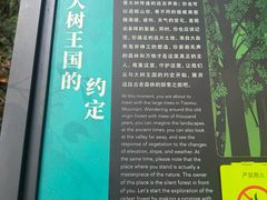 -天目山大树王景区