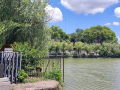 -八大山人梅湖景区