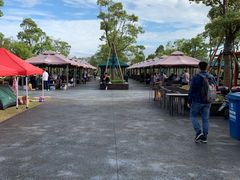 -春花秋色城市公园