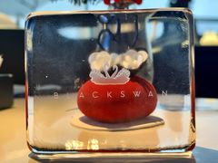 -BLACKSWAN黑天鹅(环球店)