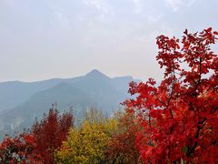 -周口店坡峰岭风景区