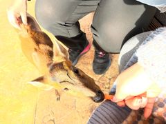 -南京金牛湖风景区