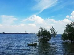 -霞山观海长廊