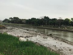 -海珠湖公园
