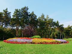 -黑龙江省森林植物园