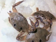 -韩风源自助烤肉(国贸精品店)