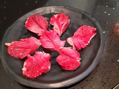 -渝宗老灶火锅(巴国城店)