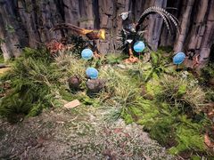 -湖南省地质博物馆