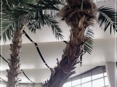 -太原武宿国际机场
