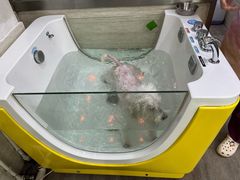 -暖阳宠物医院·犬猫康复中心·骨科