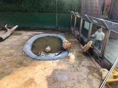 -杭州野生动物世界