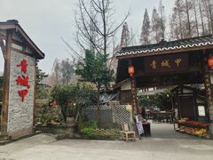 -青城甲(青城山店)