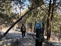 -阳台山自然风景区