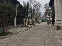 -观潮胜地公园