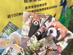 -水上乐园·欢乐世界