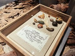 -一尺花园(首钢店)